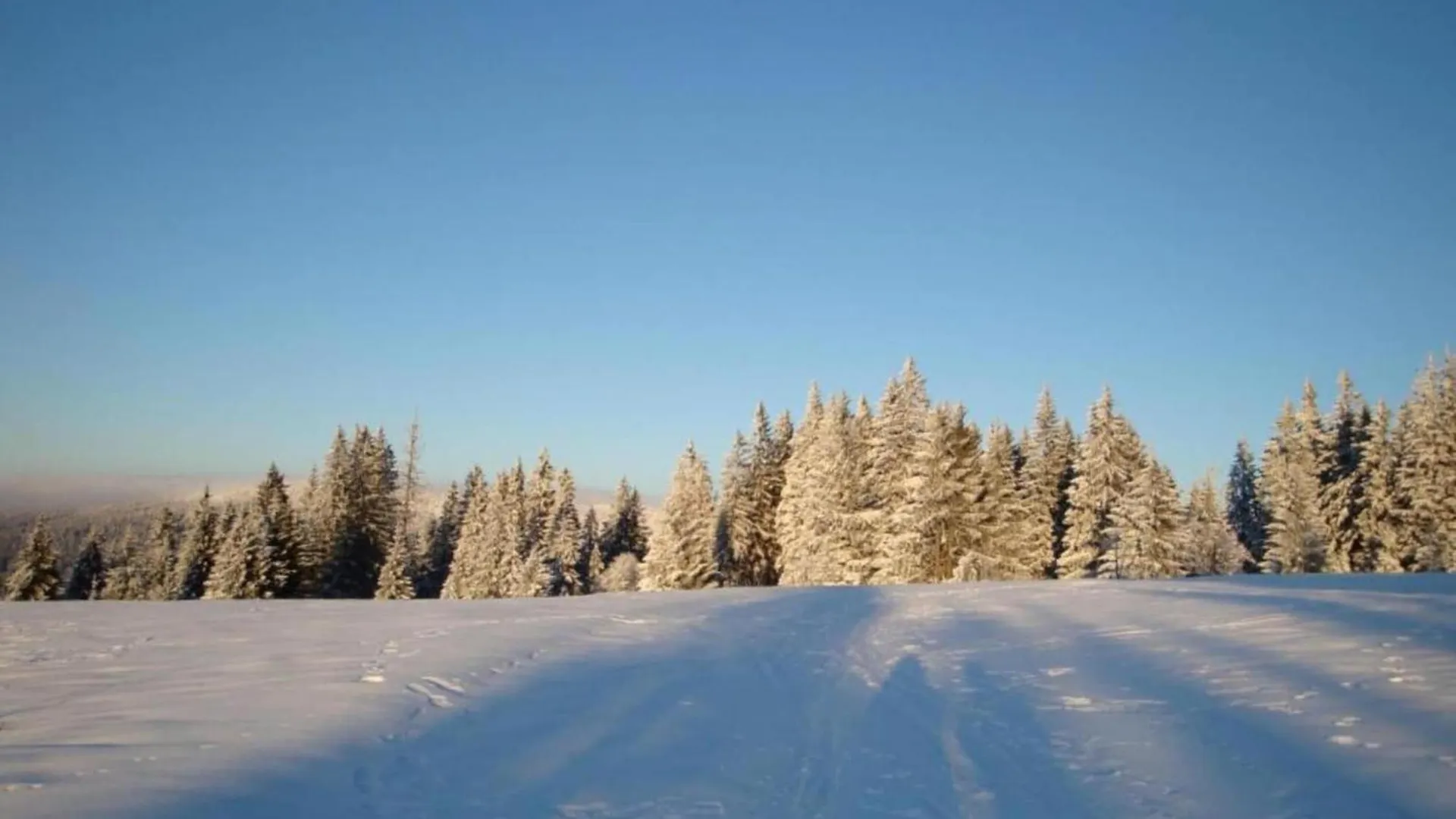 Apartment In The Middle Of Franconian Switzerland Kunreuth